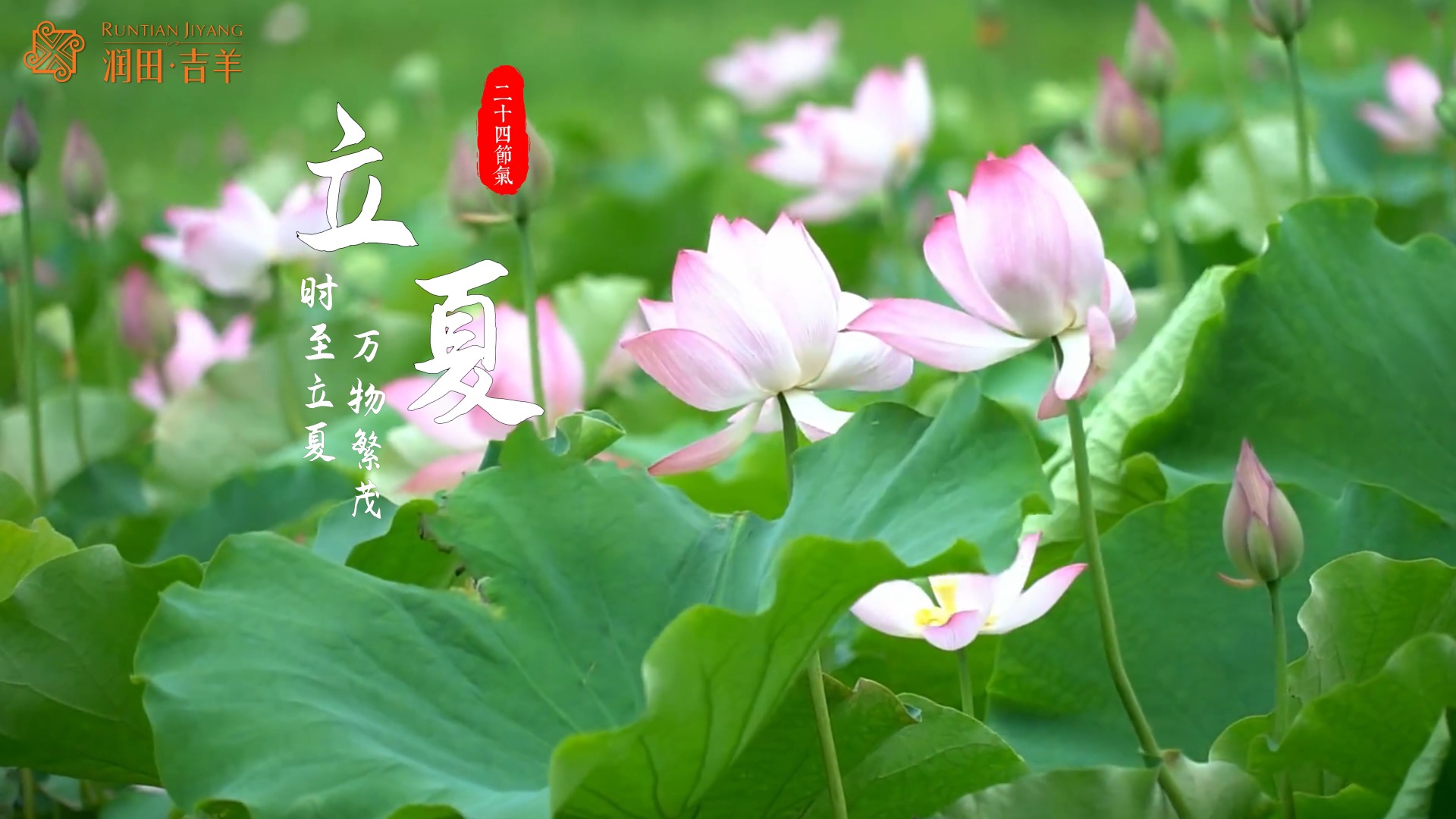 描述