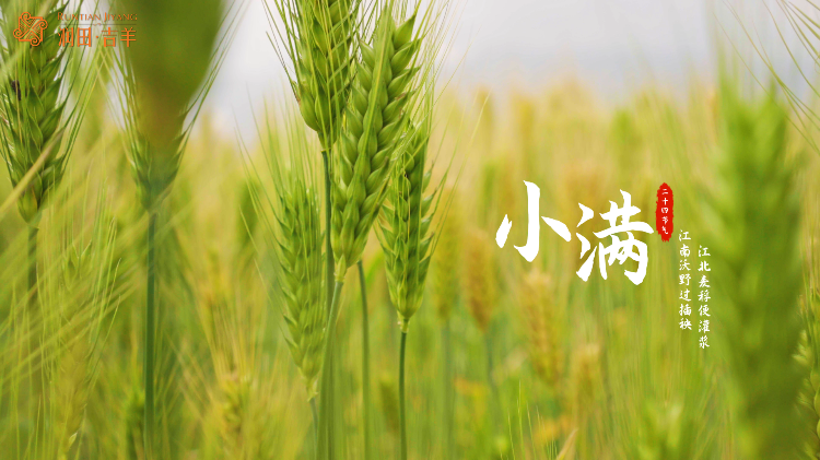 描述