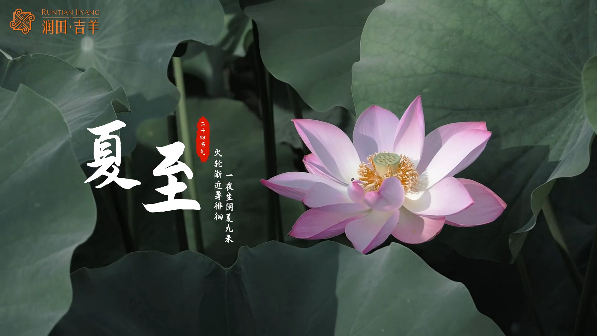 描述