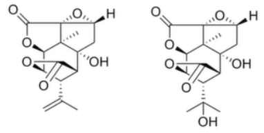 16870690213759352765d65925dda