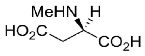 16870700446202117d4b5be70fbc1