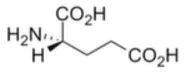 L-Glutamate