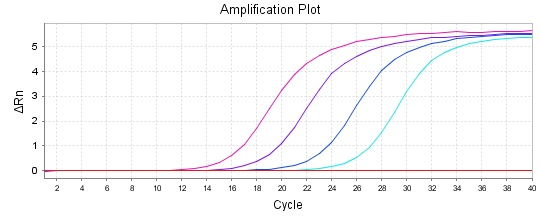 QPCR54