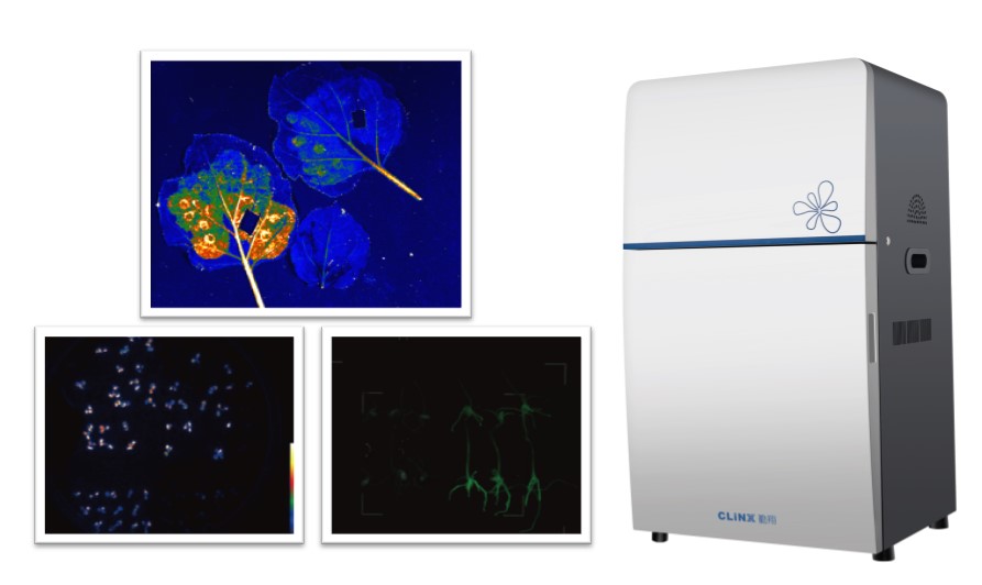 IVScope7000系列植物活体成像系统