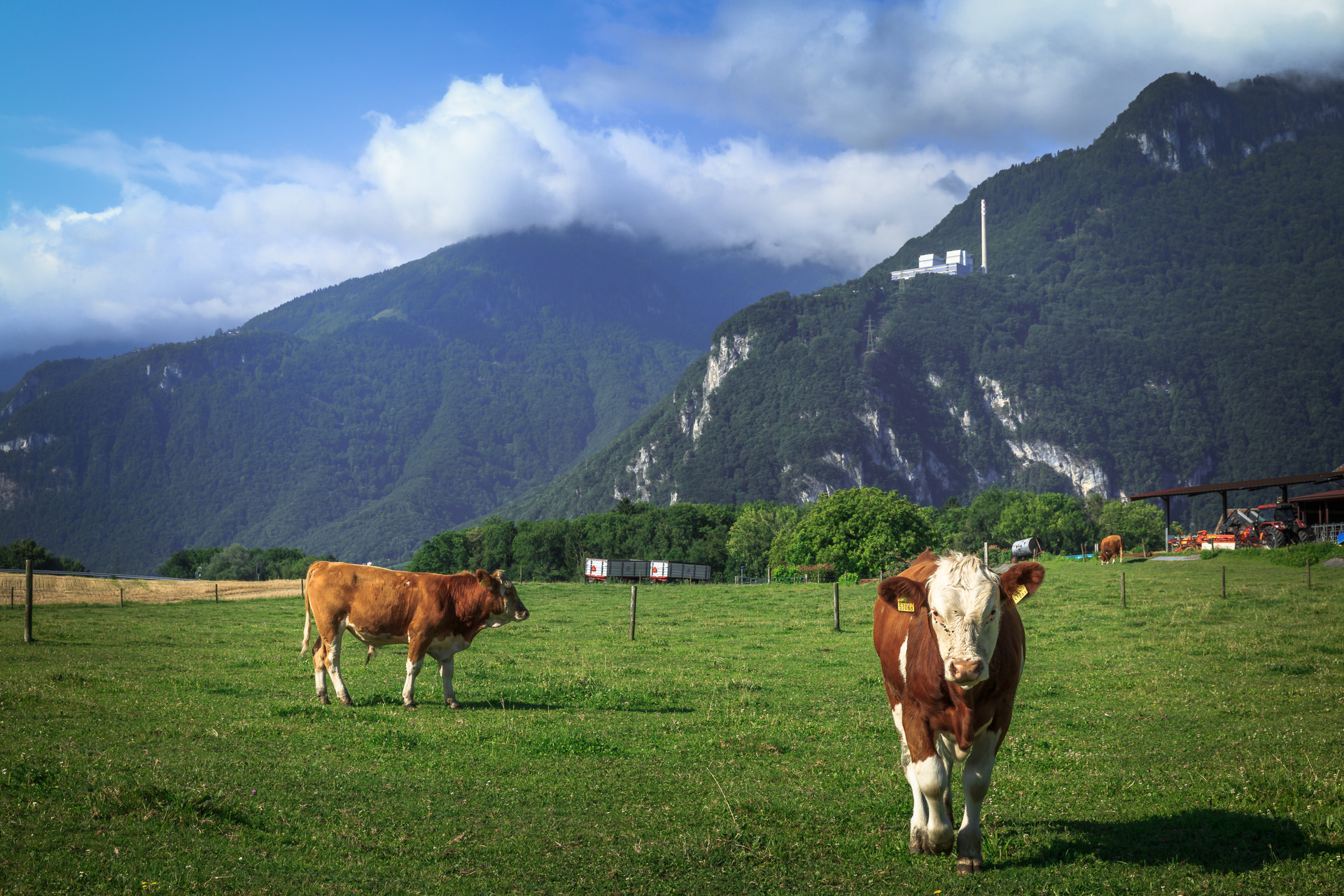 摄图网_500899206_banner_瑞士高山天然牧场（企业商用）