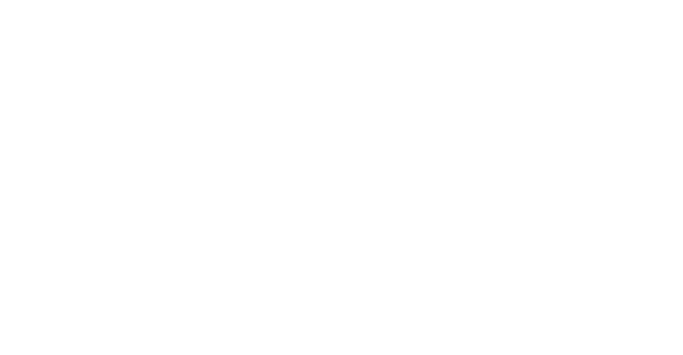 描述