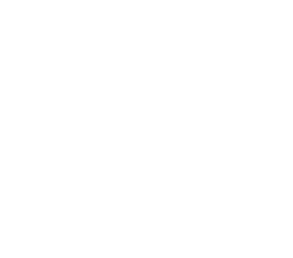 描述