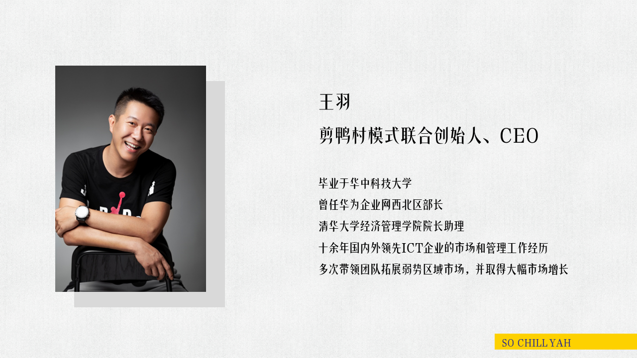 描述