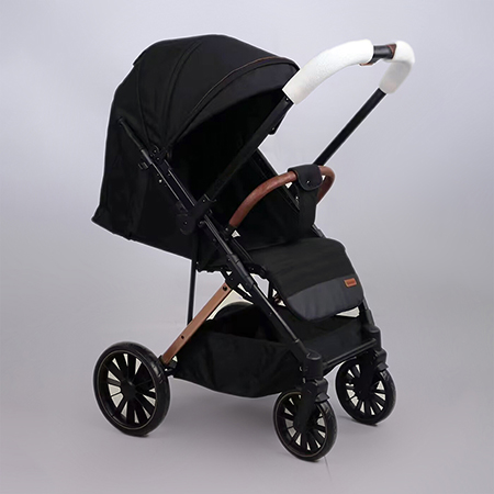 Two Way Facing Stroller TWBS502