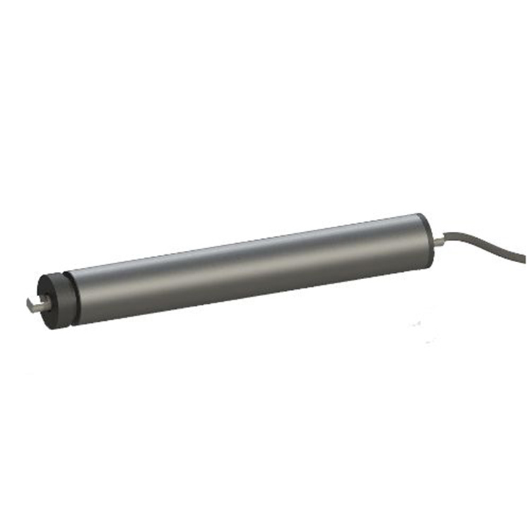 AC servo motor roller for DWS