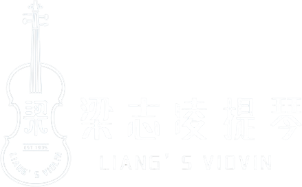 描述