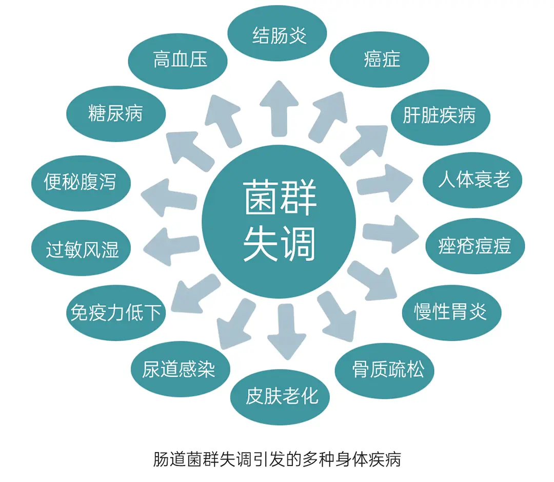 肠道菌群失衡类案例