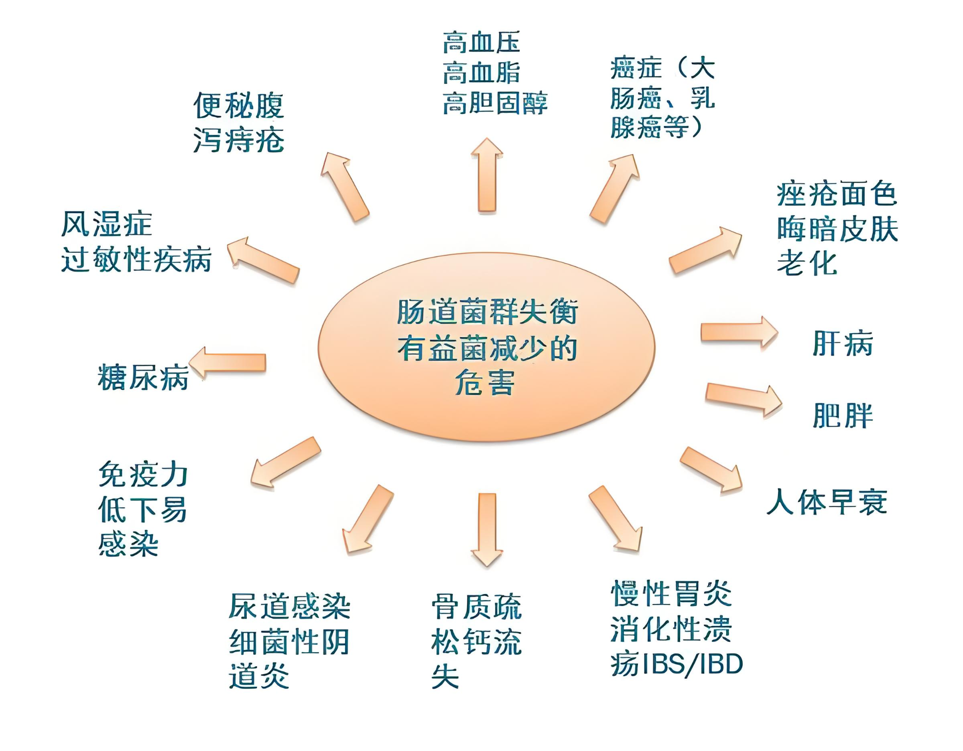 肠道菌群失衡与疾病相关类案例