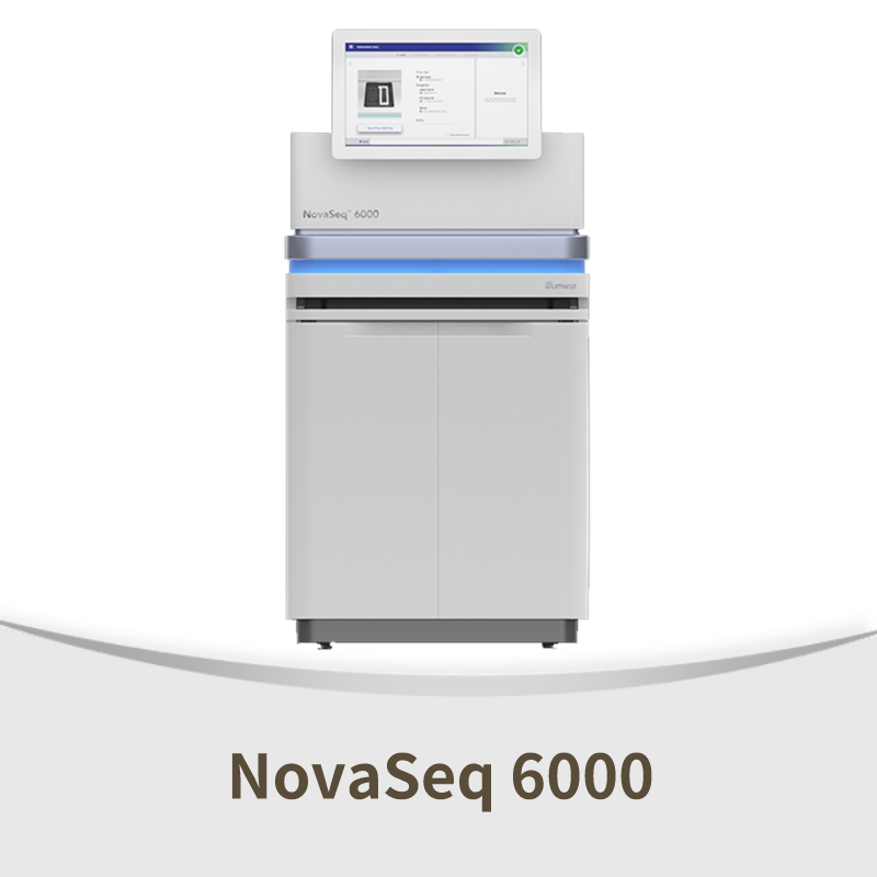 NovaSeq 6000