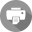 print-icon