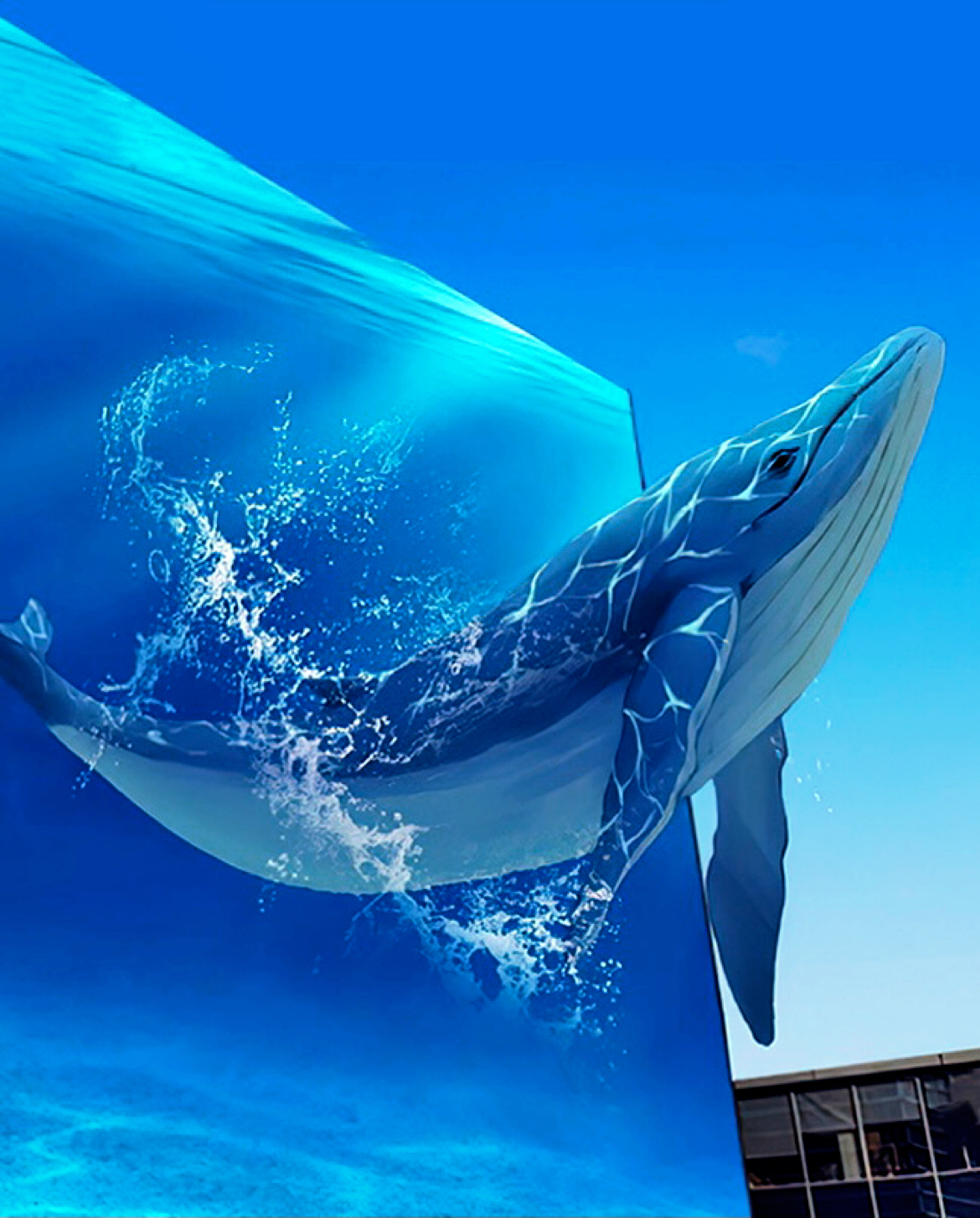 描述