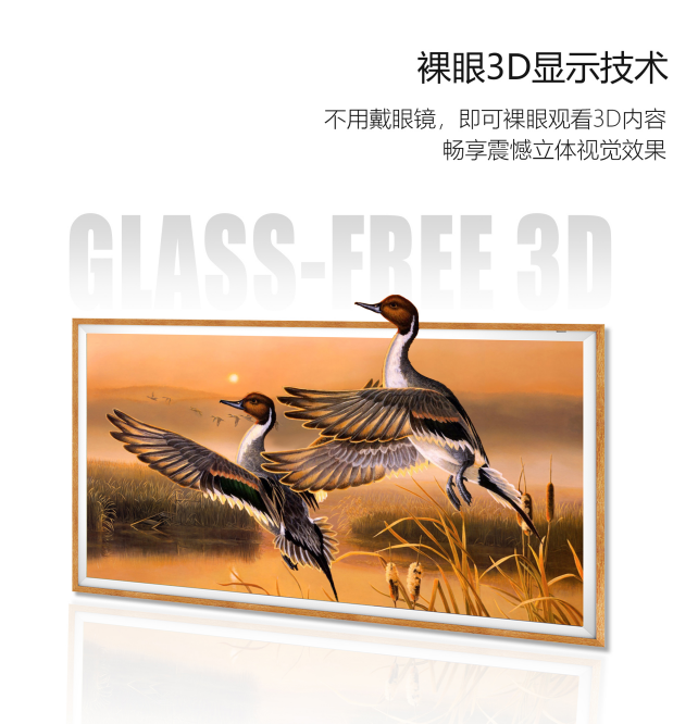 描述