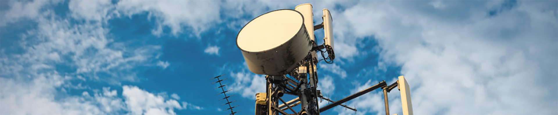 pexels-cottonbro-3944377