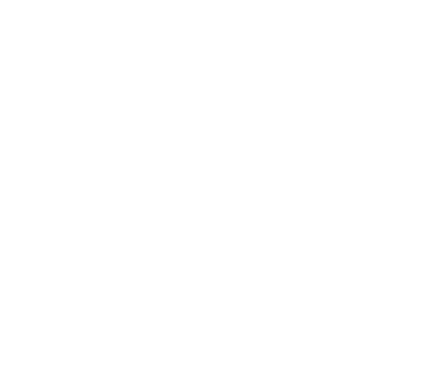 描述