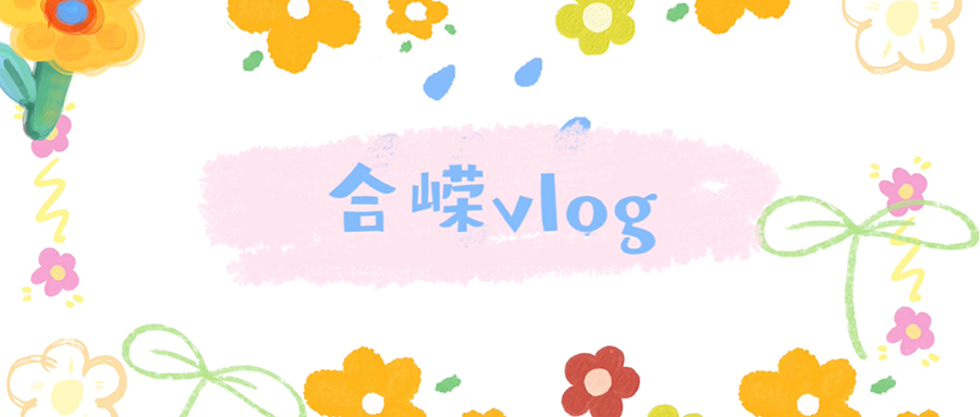 vlog_900x383