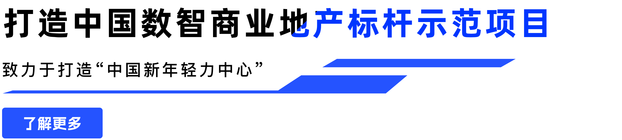描述