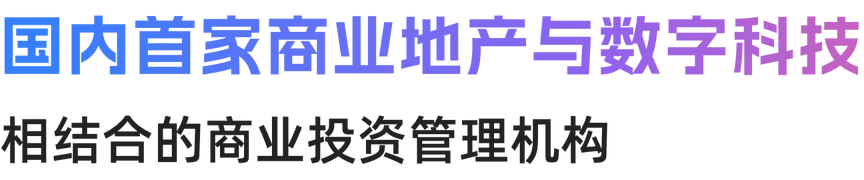 描述