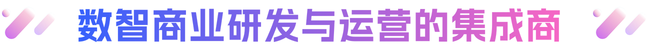 描述
