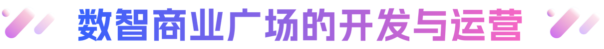 描述