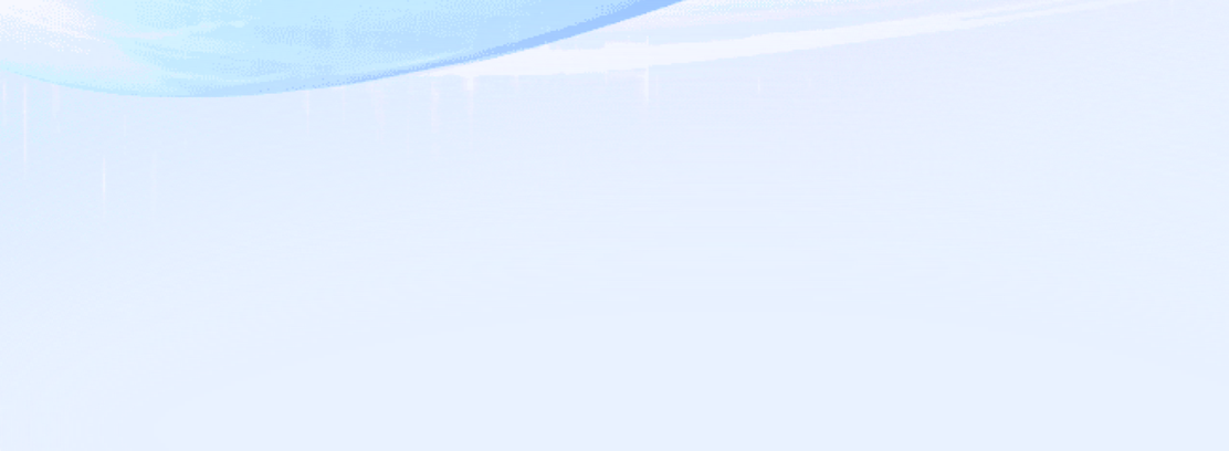 描述