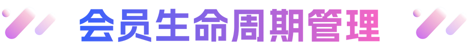 描述