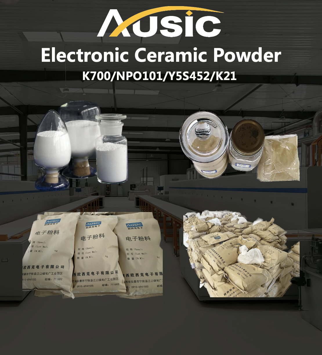 Electronic Ceramic Powder