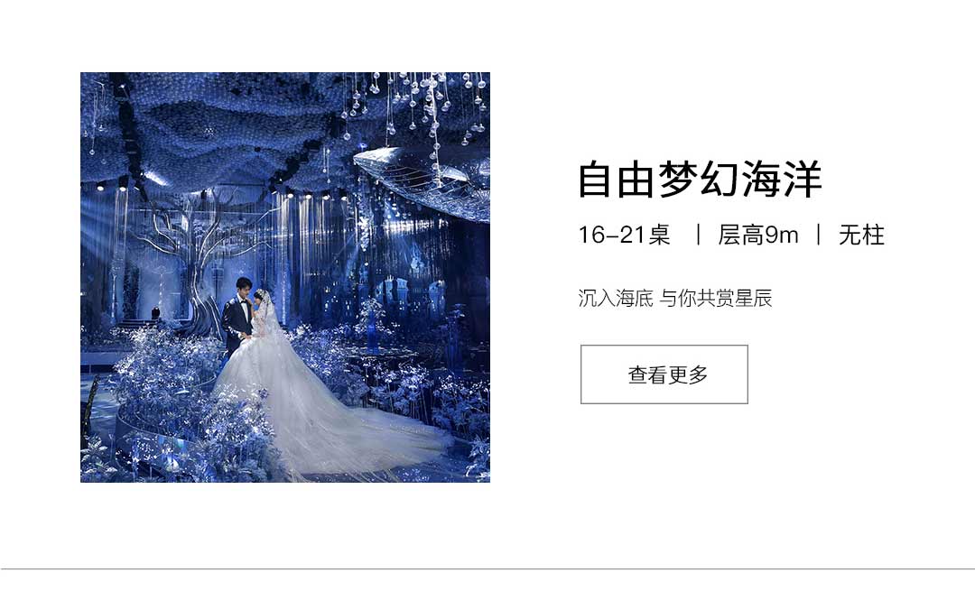 描述