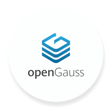 OPENGAUSS