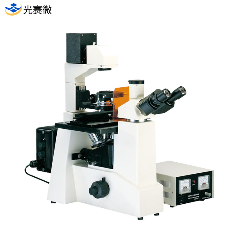 WTDS-10倒置荧光生物显微镜