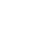 2022年度审计报告