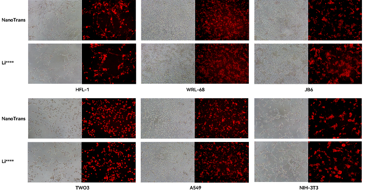 NanoTrans™ Transfection Reagent Plus | CT0005