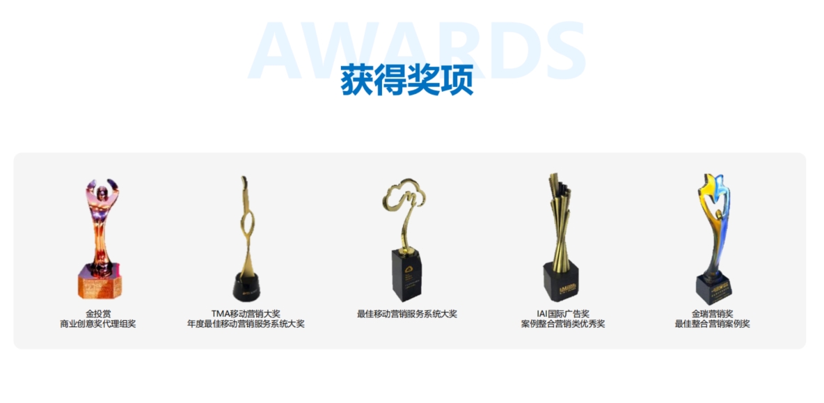 曾獲獎(jiǎng)項(xiàng)