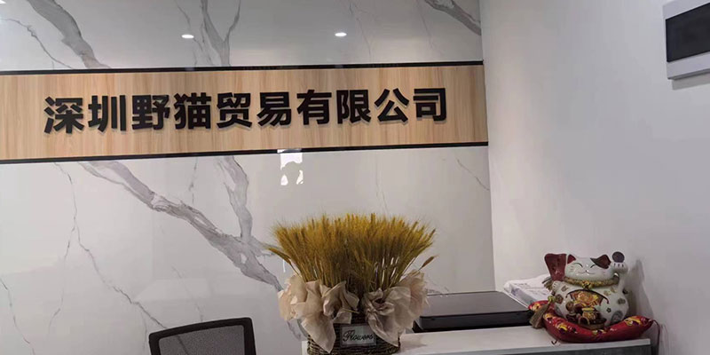 Establish Shenzhen Wildcat Trading Co., Ltd.