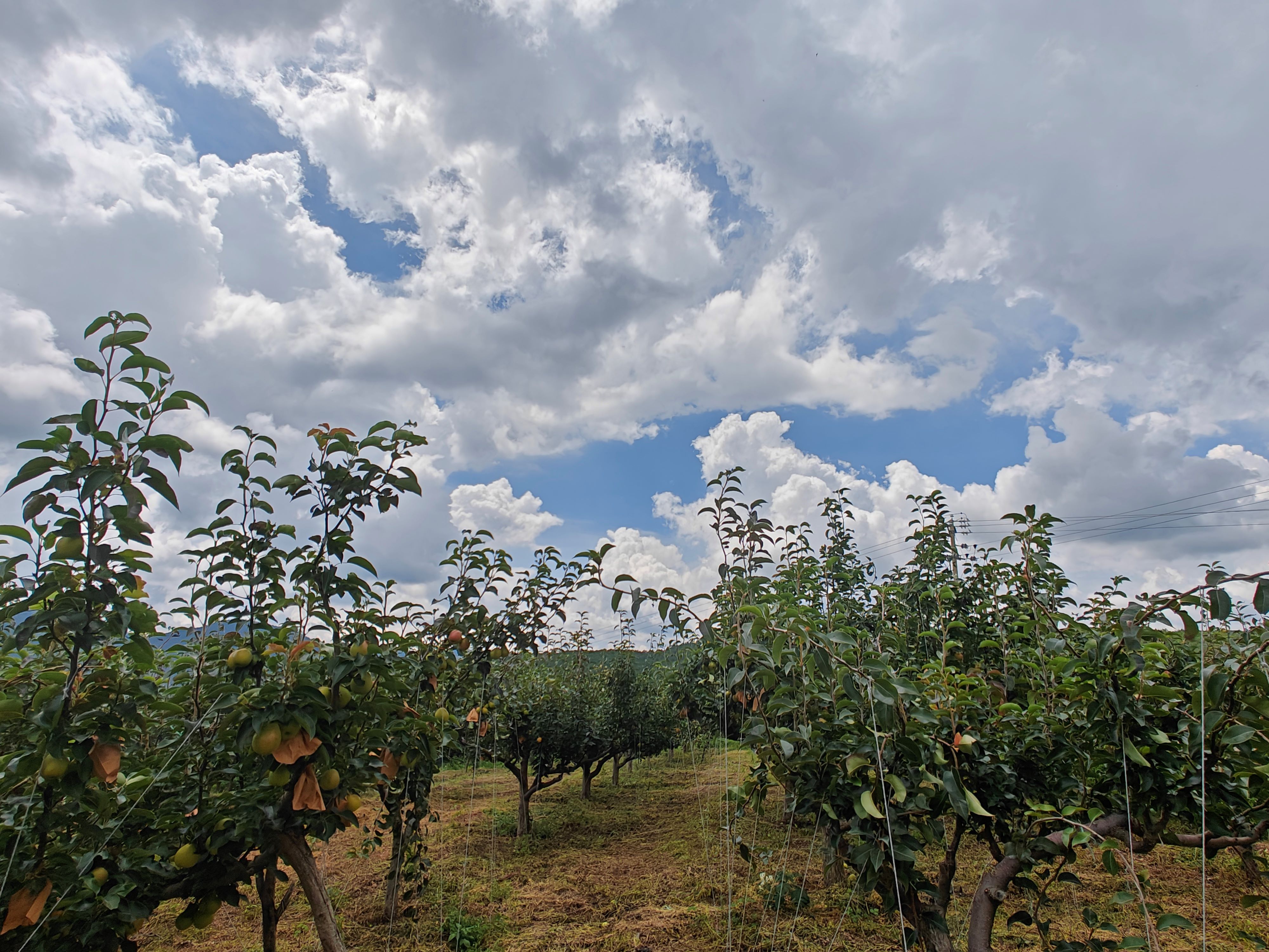 1721910008124936850cfd245d01a440541b308c15976