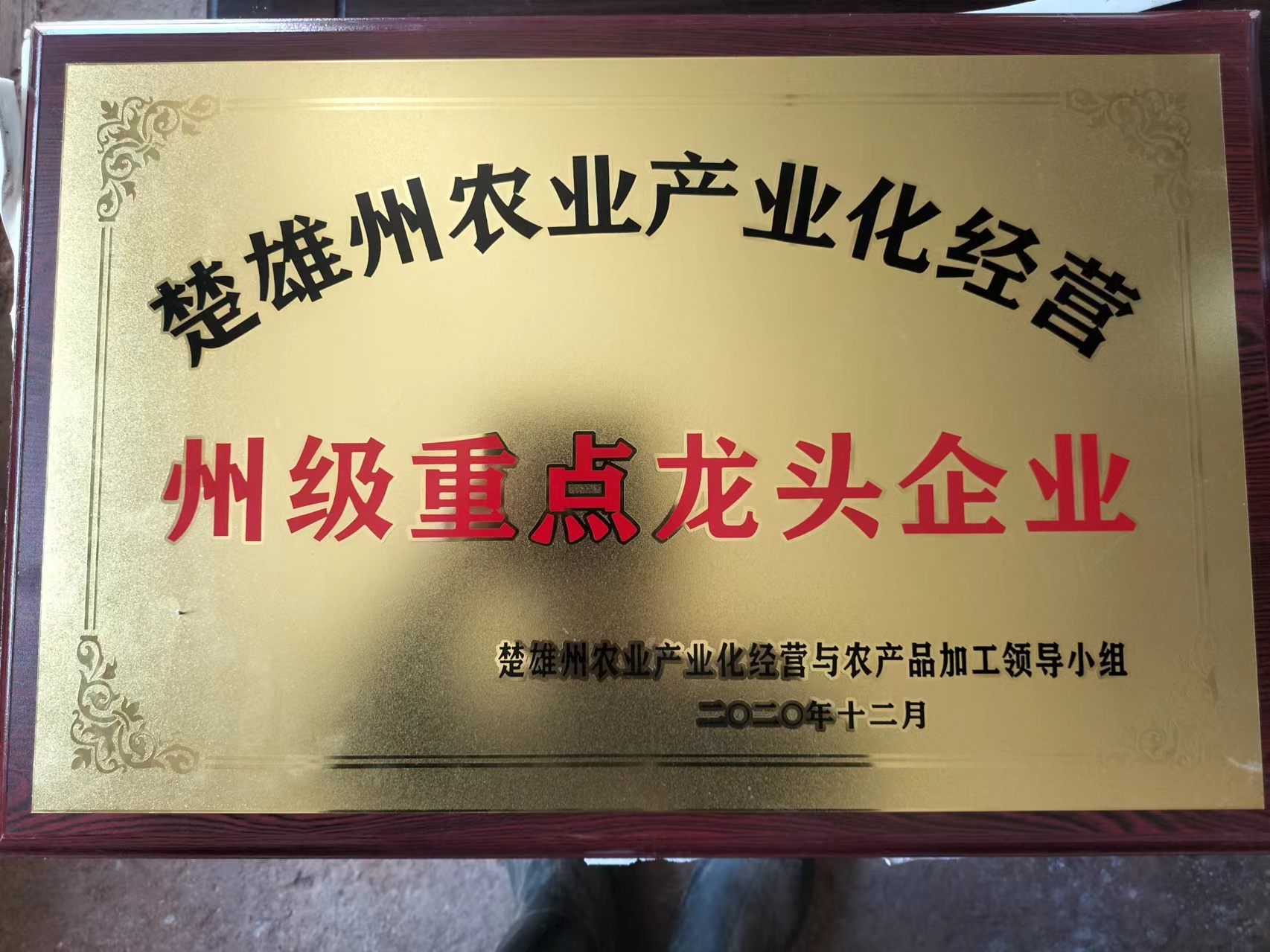 17219104893556afcf7fb9407e94c5c7c1ffd6d620c4c