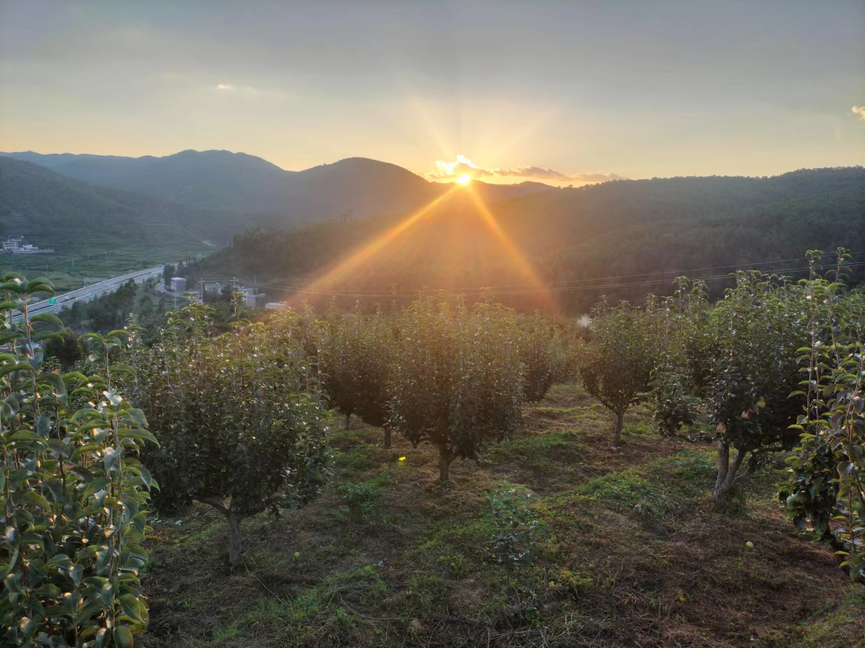 172273981478426f90b24aa2cbc061116bcb60aba040a