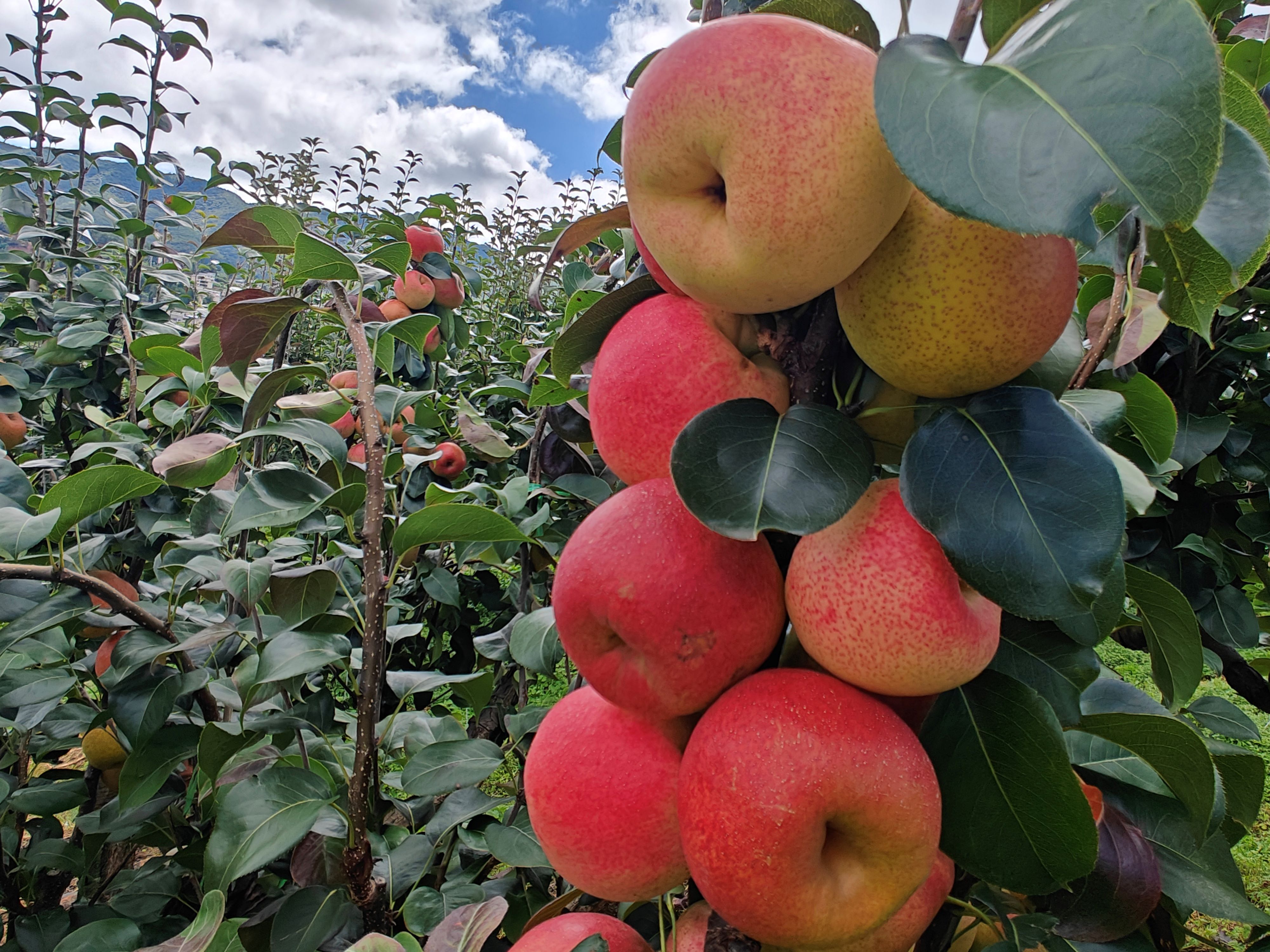 172317653738885a91218c5a587050a0934b604e6b59e