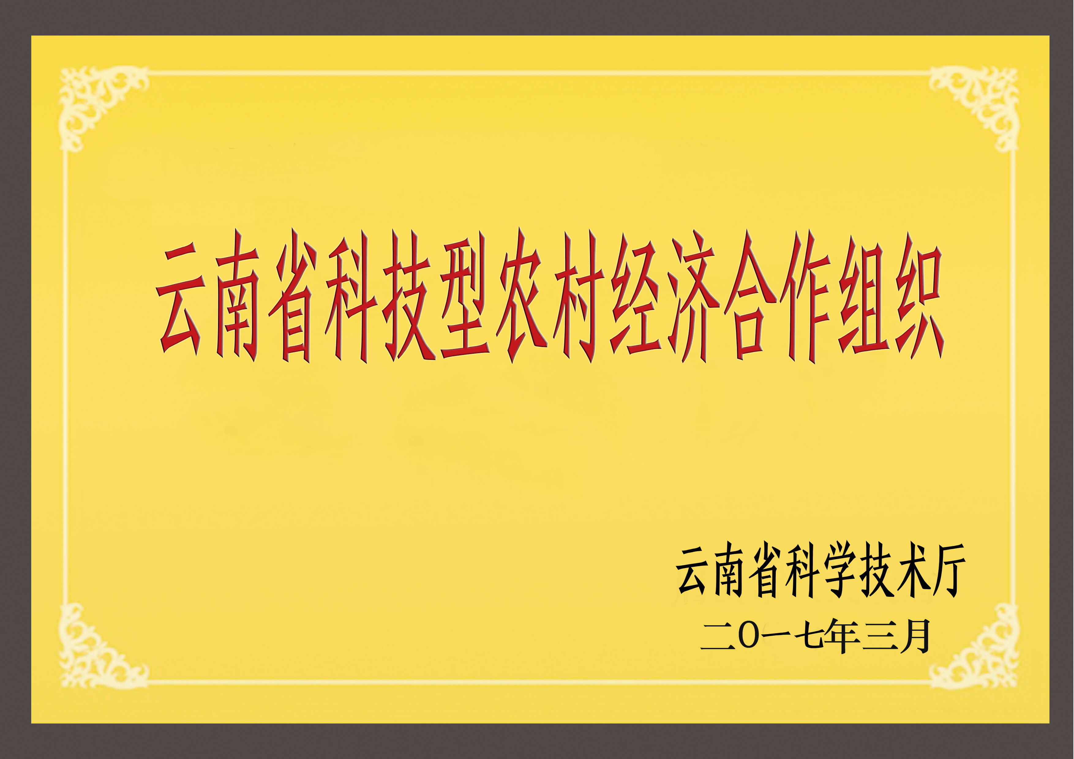 云南省科學技術廳授予“科技型農村經濟合作組織”