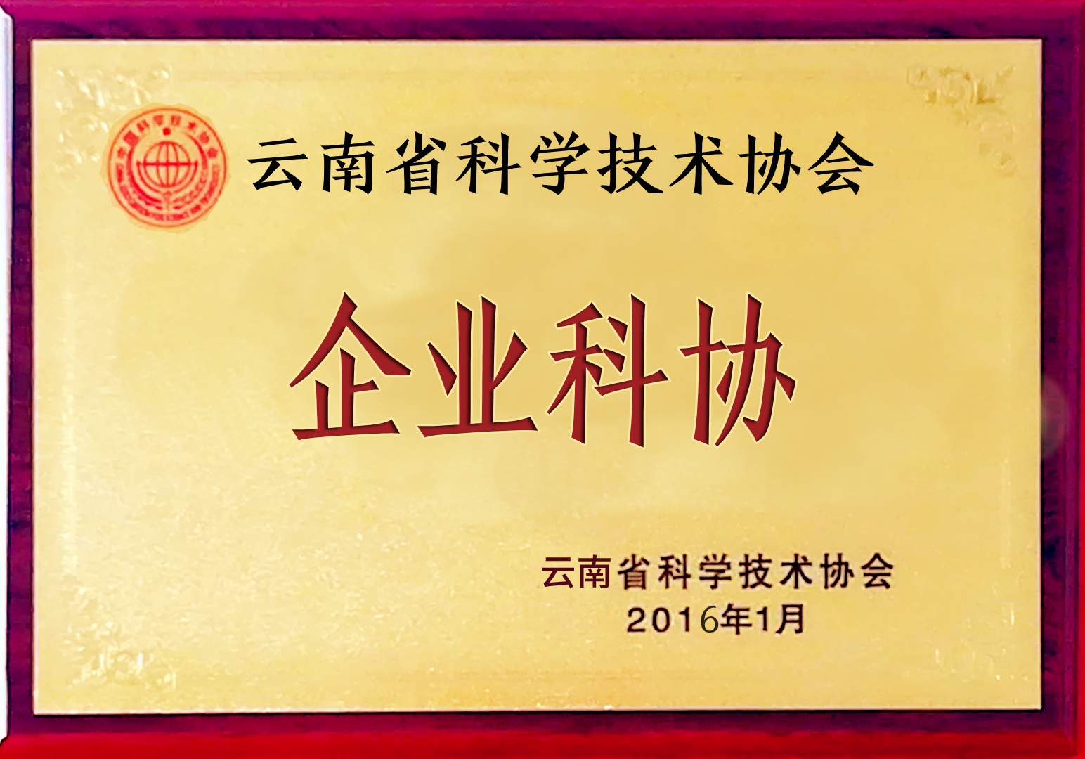 云南省科學技術協會授予“企業科協”
