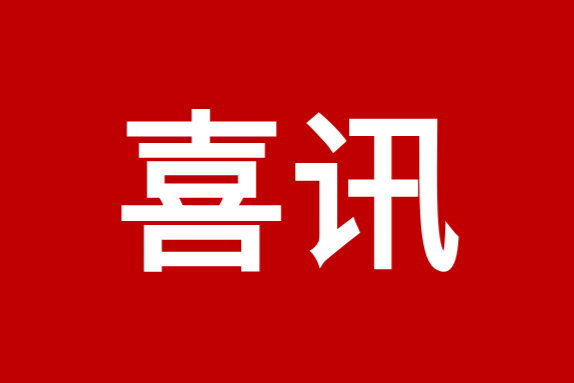 喜迎新年开门红，四川薪税保中标电科院电研公司专业项目技术咨询服务项目