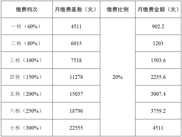 2024年度灵活就业人员基本养老保险缴费标准