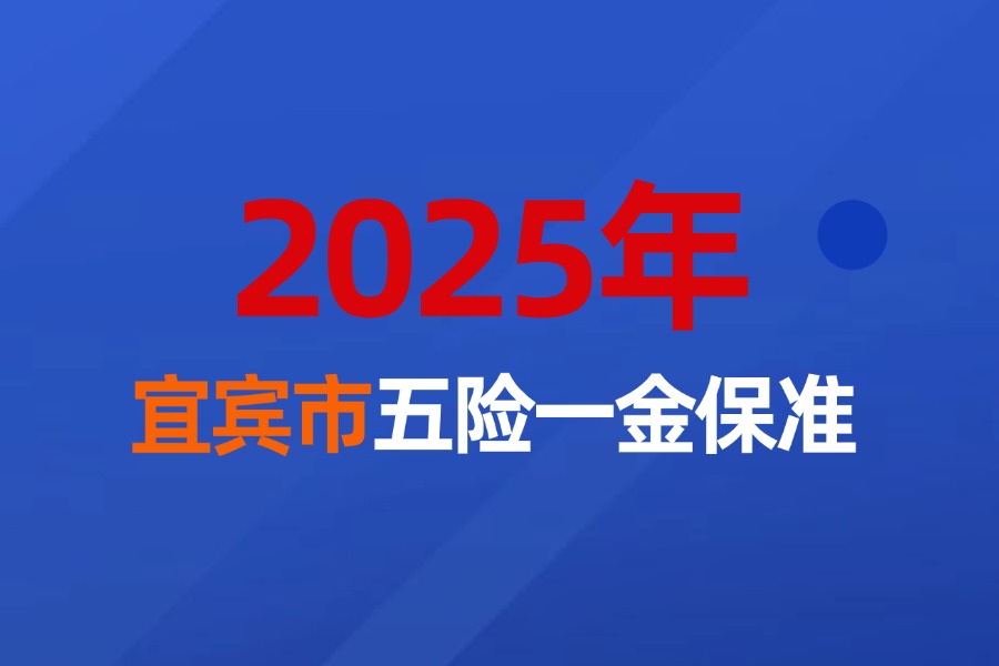2025年宜宾市企业职工五险一金缴费最新标准