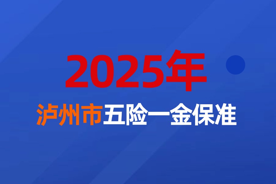 2025年泸州市企业职工五险一金缴费最新标准
