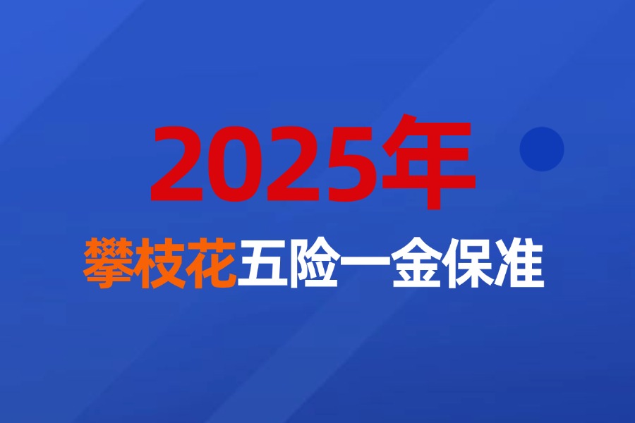 2025年攀枝花市企业职工社保、医保和住房公积金缴费最新标准