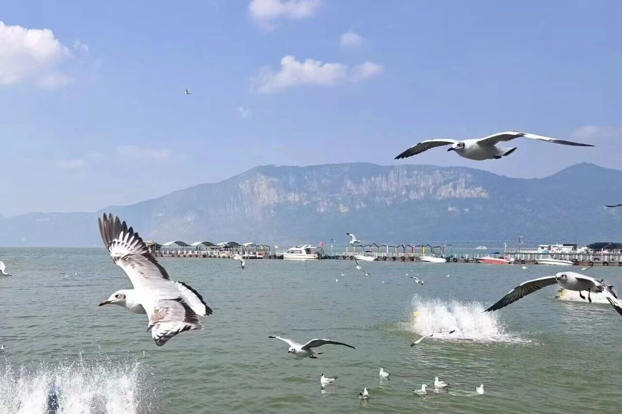 2026年薪税保人力云南昆明之旅-滇池